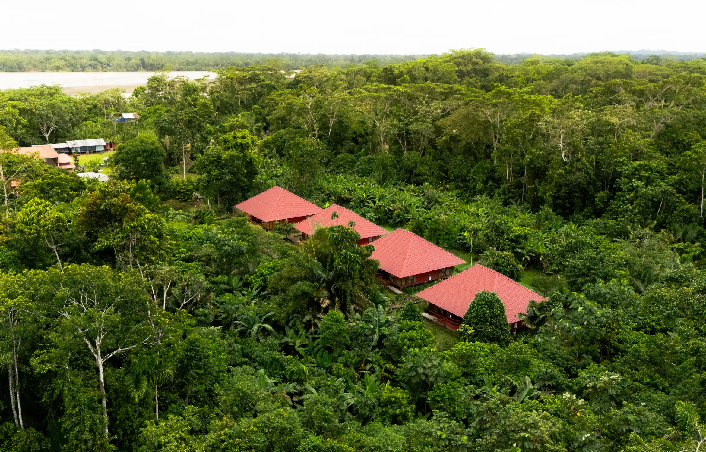 Yasuní EcoLodge