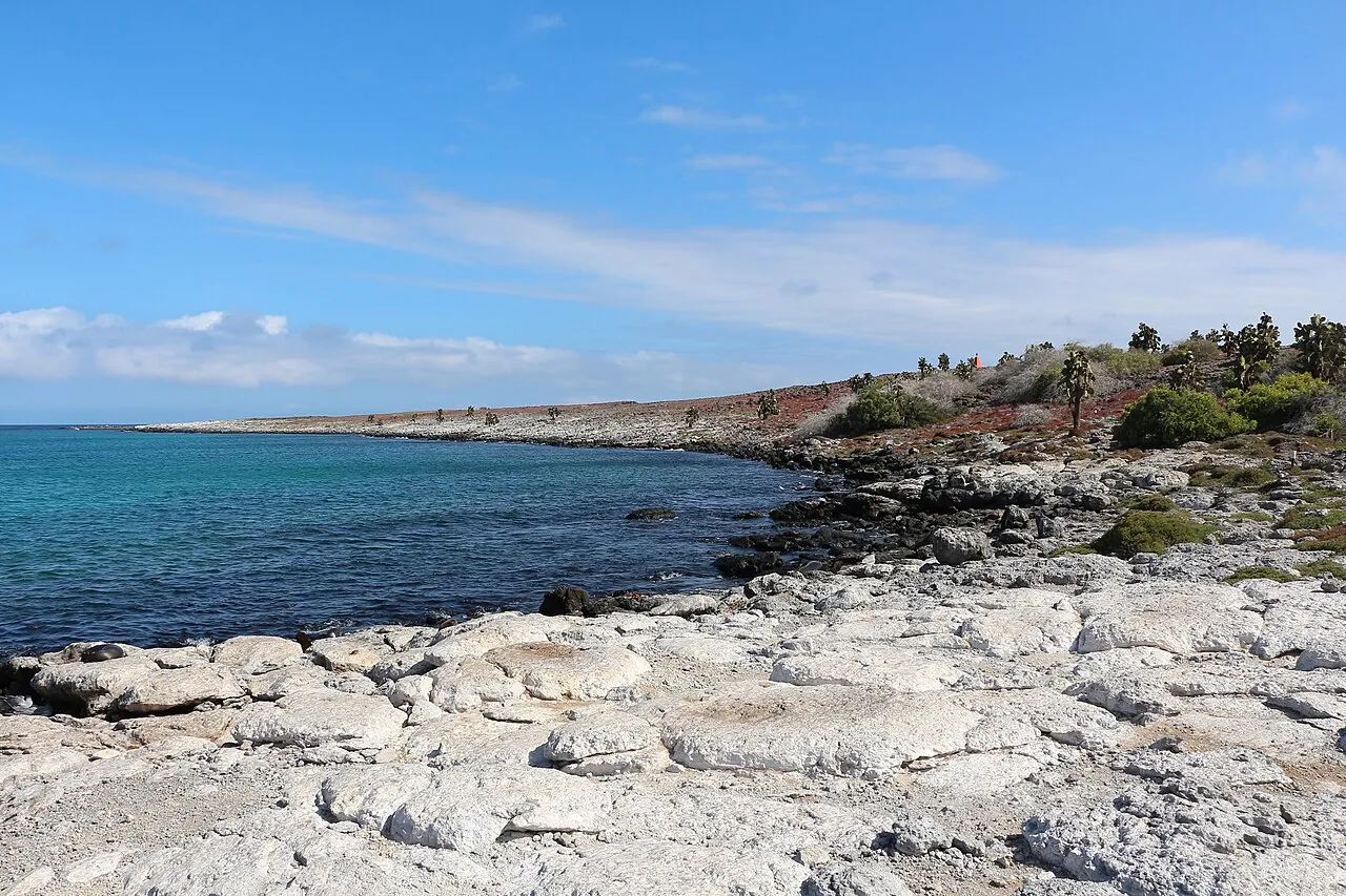 Crucero Coral en aguas de Galápagos